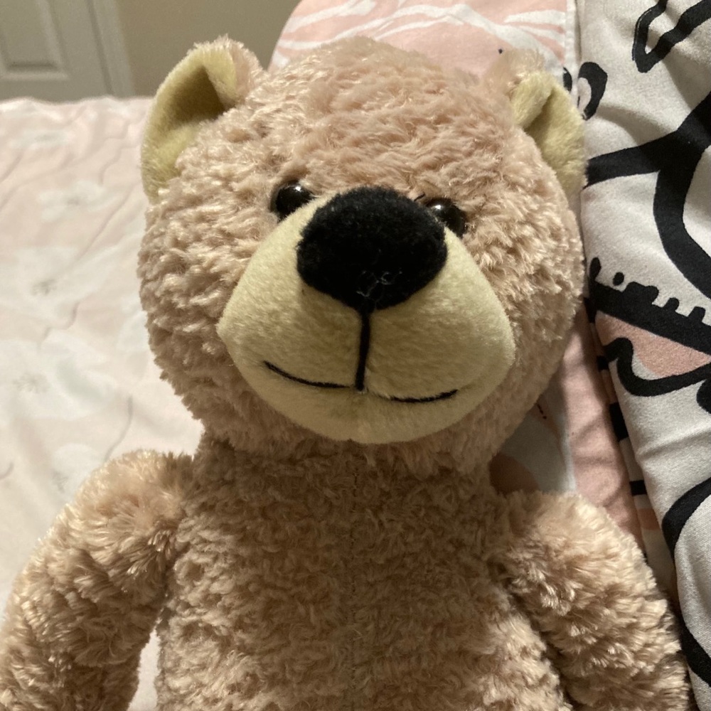 Tan teddy bear
